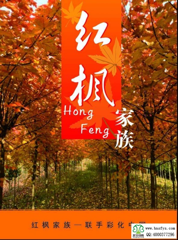 河南印刷廠：紅楓家族 宣傳畫冊